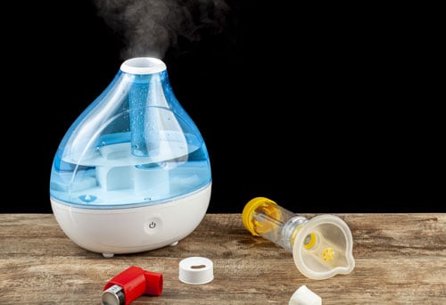 Cool mist humidifier