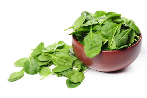 spinach spinach