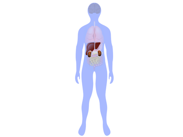 Combined Liver and Kidney Transplantation in Chennai