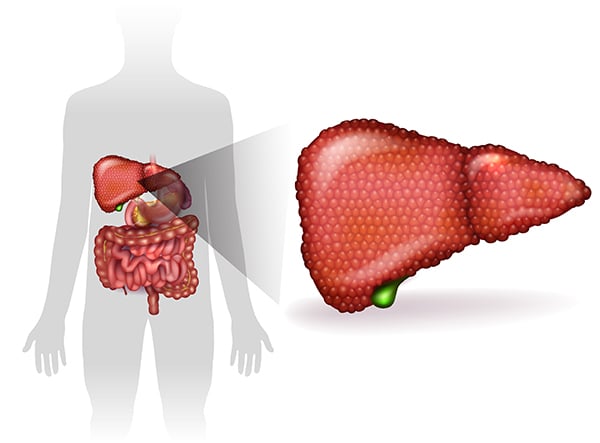 Management of Acute Liver Failure