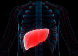 Things You Need To Know About Liver Cancer