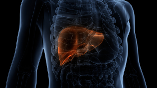 Managing And Treating Liver Failure