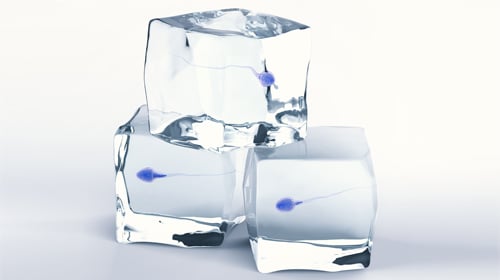 Male Infertility Male Infertility