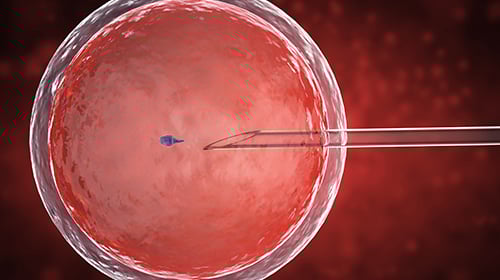 IVF IVF