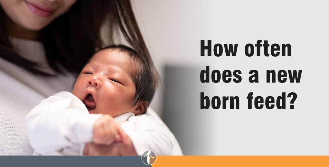 How often does a new born feed?