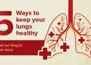 All About Lungs Function
