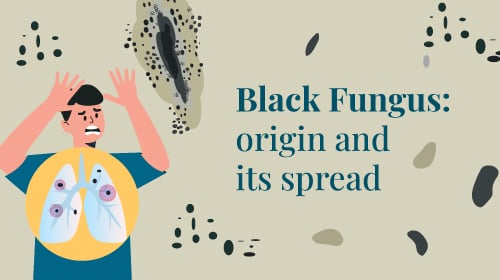 How Does Black Fungus Spread? How Does Black Fungus Spread?