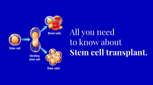 What is a stem cell transplant?