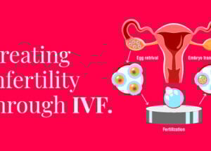 What is IVF, and How Does it Work?