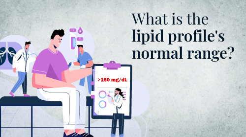 What is a lipid profile test?