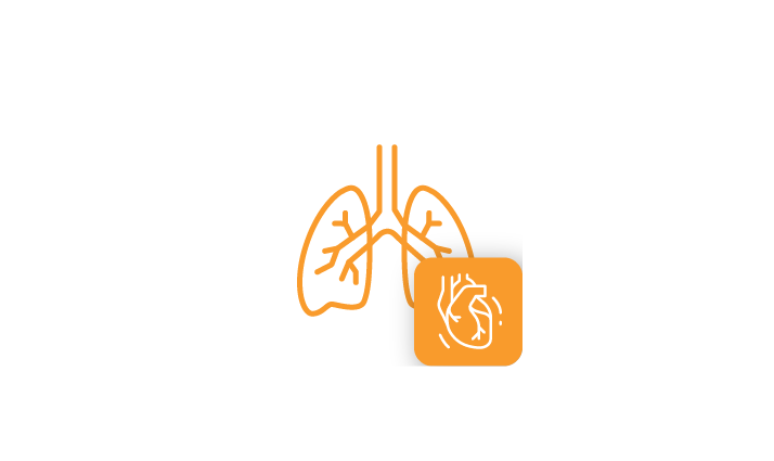 Department of Heart and Lung Transplantation