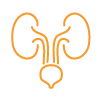 Urology