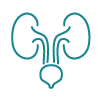 Urology