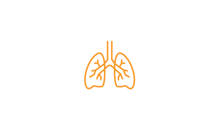 Department of Pulmonary Medicine