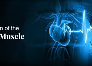 What is the Specific Function of the Cardiac Muscle?