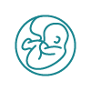 Fetal Medicine