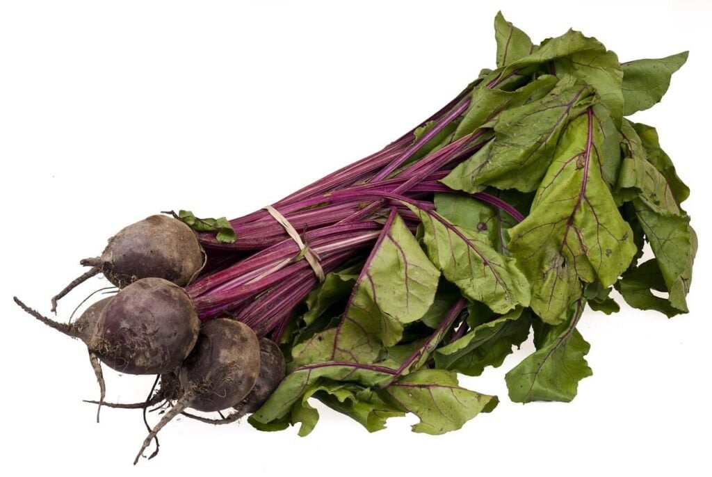 Beetroot to Increase Platelet Count