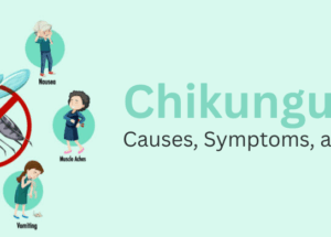 Chikungunya: Causes, Symptoms, and Prevention