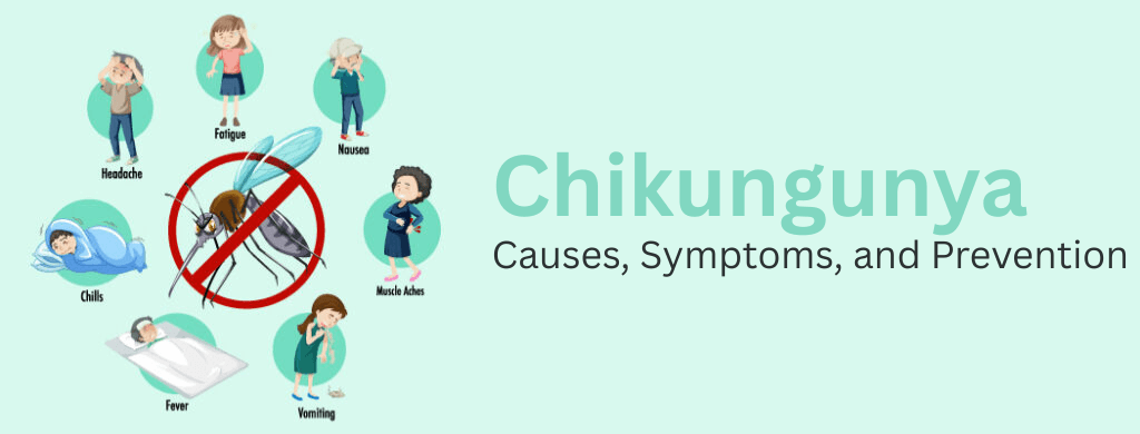 Chikungunya: Causes, Symptoms, and Prevention Chikungunya: Causes, Symptoms, and Prevention