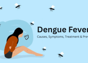 Dengue Fever: Causes, Symptoms, Treatment & Prevention