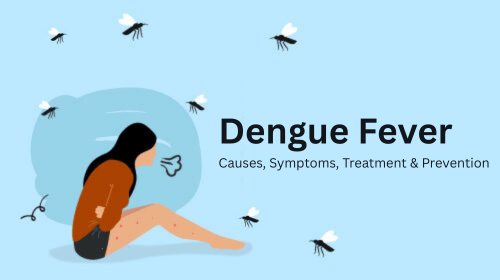 Dengue Fever: Causes, Symptoms, Treatment & Prevention