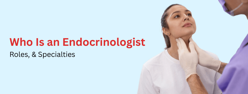 Who Is an Endocrinologist? Roles, & Specialties