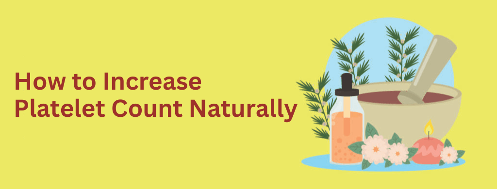How to Increase Platelet Count Naturally How to Increase Platelet Count Naturally