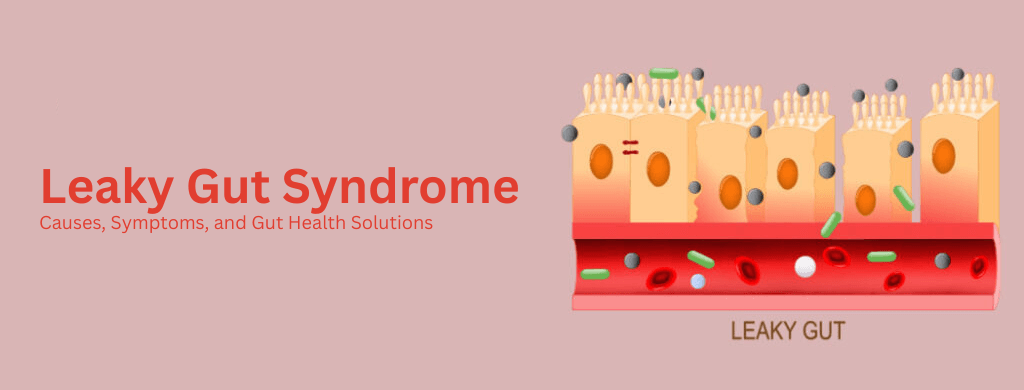 Leaky Gut Syndrome: Causes, Symptoms, and Gut Health Solutions Leaky Gut Syndrome: Causes, Symptoms, and Gut Health Solutions