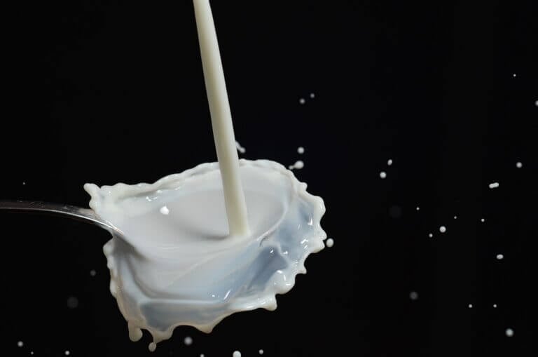Milk to Increase Platelet Count