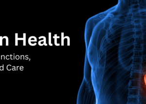 Spleen Health: Structure, Functions, Disorders, and Care