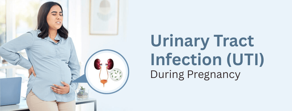 Urinary Tract Infection (UTI) During Pregnancy: Causes, Symptoms, and Prevention Urinary Tract Infection (UTI) During Pregnancy: Causes, Symptoms, and Prevention