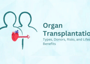 Organ Transplantation: Types, Donors, Risks, and Lifesaving Benefits