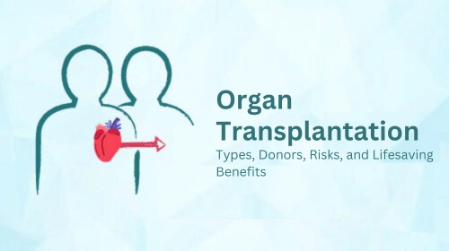 Organ Transplantation: Types, Donors, Risks, and Lifesaving Benefits