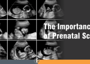 All About Prenatal Scans: From Early Pregnancy to Delivery